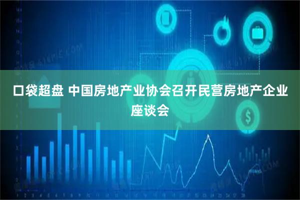 口袋超盘 中国房地产业协会召开民营房地产企业座谈会