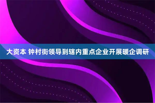 大资本 钟村街领导到辖内重点企业开展暖企调研