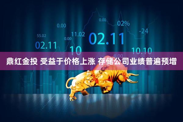 鼎红金投 受益于价格上涨 存储公司业绩普遍预增