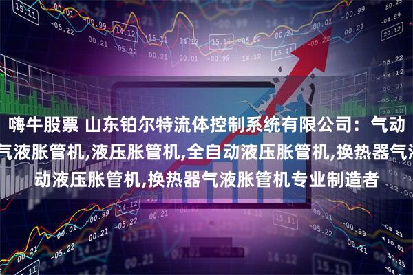 嗨牛股票 山东铂尔特流体控制系统有限公司：气动液压胀管机,散热器气液胀管机,液压胀管机,全自动液压胀管机,换热器气液胀管机专业制造者
